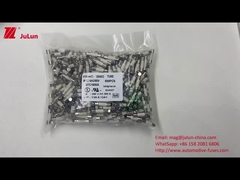 30KA HV660 20A 550VDC ASTM Seramik Otomobil Sigortaları