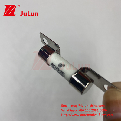 EV Koruması Boltlu Taşınabilir EV Şarj Kutusu 10A-100A Rütbeli Akım DC750V Rütbeli Voltaj