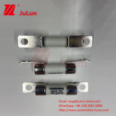 Koruma EV Elektrikli Araç Füzü Güç Değiştirme 15A 30A 25A 750VDC 10x38 EV Füzüsü