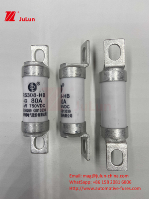 EV Elektrikli Araç Füzesi DC750V Füzesi DC750V 10A 15A 20A 25A 30A Otomobil Uygulamaları için RS308