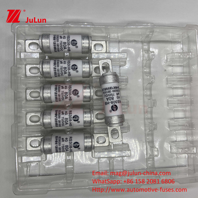 Elektrikli Araç Sigorta RS308 DC750V 10A 15A 20A Harika titreşim direnci 63A