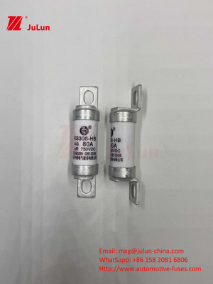 EV RS308 Sigorta Mekanik Şok 25A 30A 40A 50A Seramik Bakır Değerlendirilmiş Voltaj DC750V Elektrikli Otomobil İçin Ev Ev Şarj Aracı