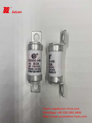 Boltlu Keramik EV Şarj cihazı ile M6 EV sigortası 750VDC Sigorta Kimyasal Yük ve Yüksek Sıcaklık 40A 50A RS308