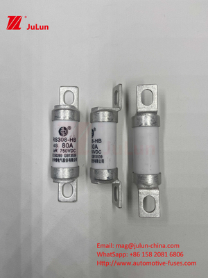Elektrikli Araç Sigortaları, Sürüş Sistemi Enerji Depolama ve Olted 750VDC 25A 30A 40A 50A RS308 HB EV için