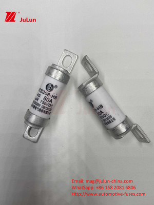 Seramik EV Sigortaları 750VDC Güvenli Şarj Otomobil Uygulamaları için 63A25A 15A 30A 750VDC RS308 Sigorta
