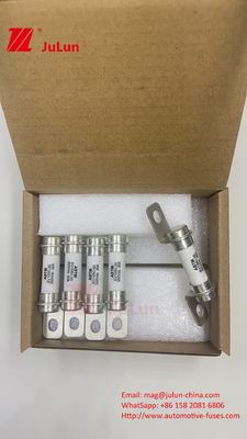 M6 Bolt Tipi Güç Dağıtım sigortası Akü Enerji Depolama S 40A 50A Sigortasının Güvenilirlik Performansı İçin