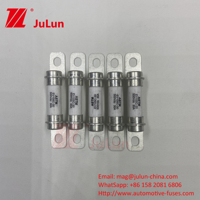 M6 Bolt Ev Şarj cihazı 30A 40A Bolt M6 Otomobil Yüksek Kaliteli 5A 500VDC Sigorta