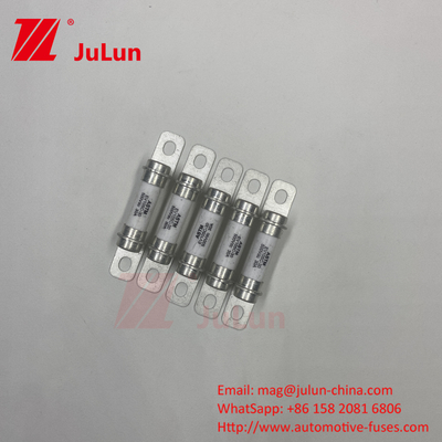 M6 Bolt Ev Şarj cihazı 30A 40A Bolt M6 Otomobil Yüksek Kaliteli 5A 500VDC Sigorta