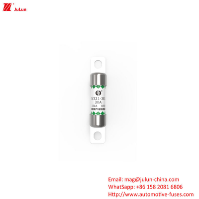 EV321-3EL 30A OEM logosu koruması ve kutu paketleme yönteminde performans ile elektrikli araç sigortası