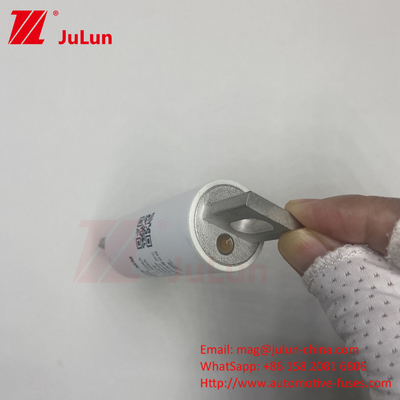 RS309-MM-EV63A Yuvarlak Tüp Bolt-On Sigortalar için 1000VDC 50KA EV SIGARA 1000VDC