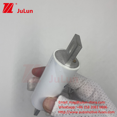 RS309-MM-EV500A1000VDC 50KA 1000VAC 100KA Sigorta Bolt vida koruması