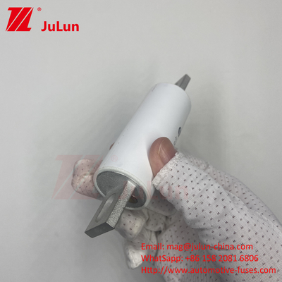 RS309-MM-EV500A1000VDC 50KA 1000VAC 100KA Sigorta Bolt vida koruması