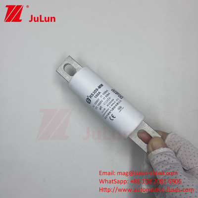 RS309-MM-EV500A1000VDC 50KA 1000VAC 100KA Sigorta Bolt vida koruması