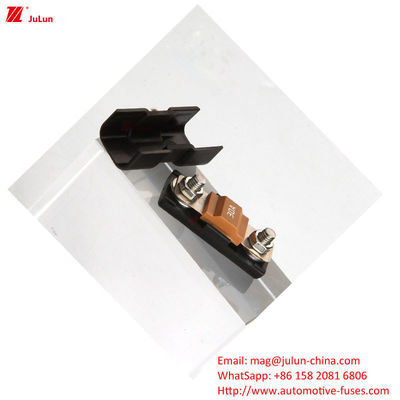 32V Otomobil Sigorta Sahibi 30A-500A Bolt/Bolt Belirlenmiş Ampere 2 Kutuplu Sigorta Bloku ile