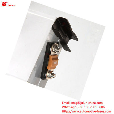 32V Otomobil Sigorta Sahibi 30A-500A Bolt/Bolt Belirlenmiş Ampere 2 Kutuplu Sigorta Bloku ile