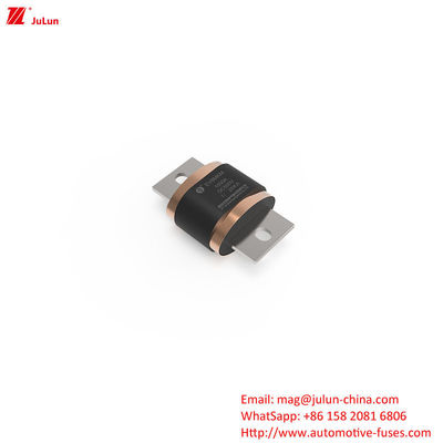 Yol araçları için EV sigortaları - EV8-MKM DC500V 500A-1000A