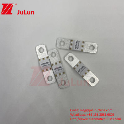A121601-50A ASTM 125VDC Elektrikli Araç Elektrikli Koruma Terminalı Türü Sigorta