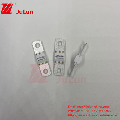 ASTM A121601-60A 125VDC Elektrikli Araba Şarj Sigortası