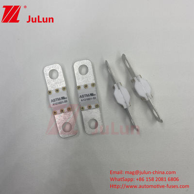 ASTM A121601-60A 125VDC Elektrikli Araba Şarj Sigortası