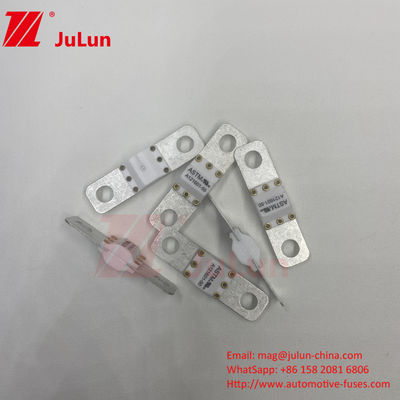 ASTM 300A 125VDC Elektrikli Araç Koruması için Bolt vida sigortası A121601
