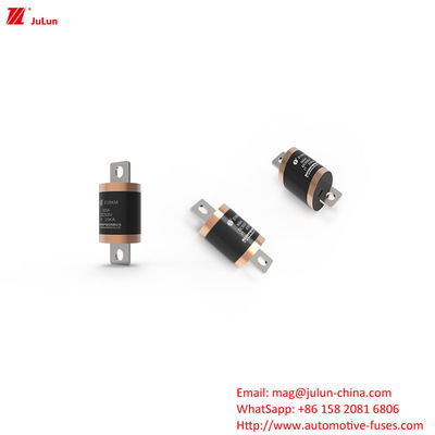 EV8 DC500V 150A 600A 700A 750A 800A 900A 1000A Yol araçları için sigortalar