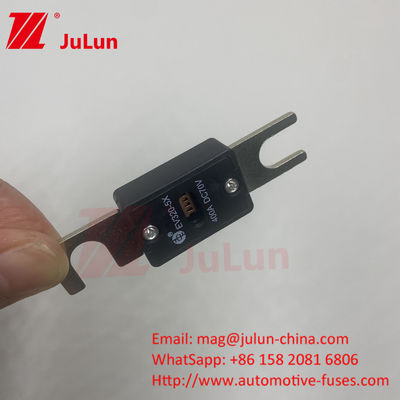 EV320-5X 5C 500A 70VDC vida bolt elektrikli araç sigortası 300A 350A 400A 450A Akım ve 10KA-20KA kırma kapasitesi