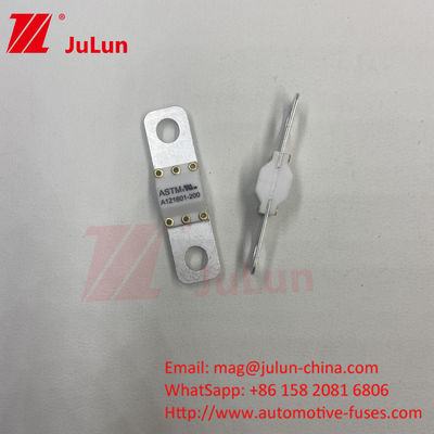 ASTM FUSE 121601 80A 125VDC Elektrikli araba sigortası