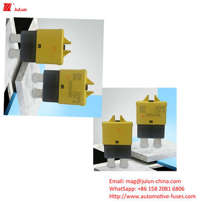 ANS MIDI MIDI Sigorta Sahibi Bolt Bolt Otomatik olarak 30A ile Otomobil Sigorta Sahipleri için Devre Kesicisini Yeniden Başlatır