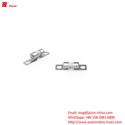 EV Bolt Screw Elektrikli Araç Tüp Otomobil Sigorta 10A-60A