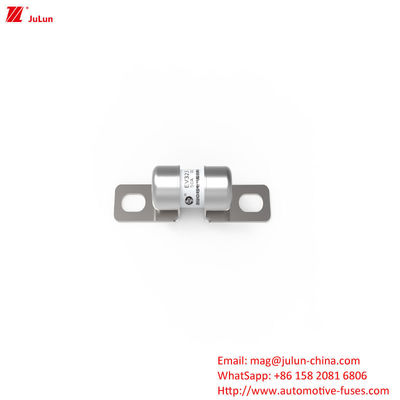 EV Bolt Screw Elektrikli Araç Tüp Otomobil Sigorta 10A-60A
