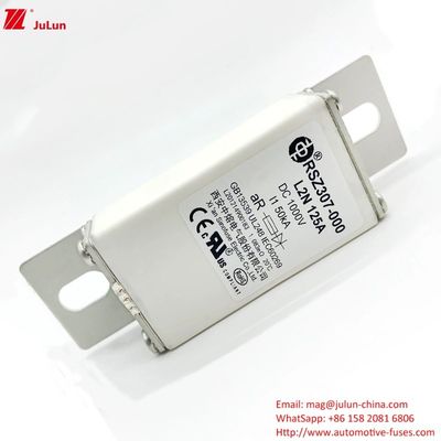 100A Bolt On Ev DC Hızlı Şarj / Elektrikli Araç Hızlı Şarj RSZ307-000-L2N Sigorta