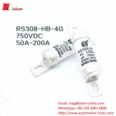 Ev Şarj Adaptörü RS308-HB4G Serisi 32A 63A 100A Araç için Mini Sigortalar