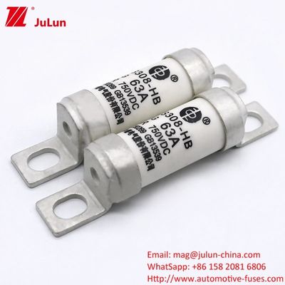 DC750V 32A 63A 100A Elektrik Enerji Sistemleri için EV Sigortaları