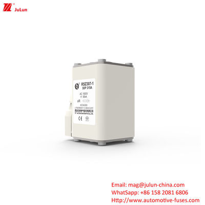 Elektrik Gücü Sistemi Koruması 160A-550A AC EV Şarj Adaptörü Uyumlu Sigortalar Üzerine Bolt