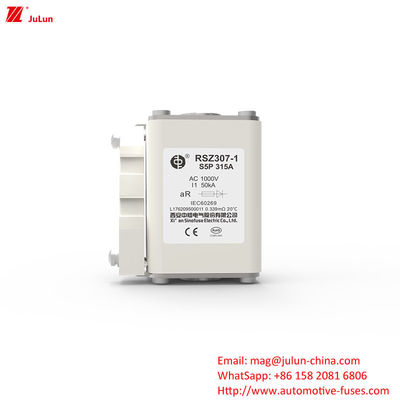 315A AC1000V Demiryolu Transit Gemi Endüstrisi Elektrikli Araç Sigortası