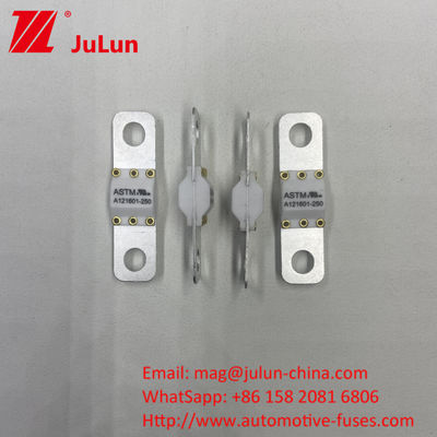 A121601-100A 3KA 6KA 8KA Elektrikli Araç Şarjı Otomobil Sigortaları
