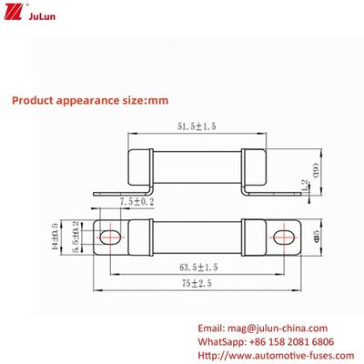 RS309 32A-35A -40A -50A Akım Ev Şarj Adaptörü 750VDC Voltaj ile uyumlu