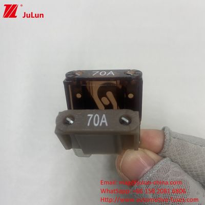 Otomobil ATM Otomatik Blade Sigortaları 30A 32V