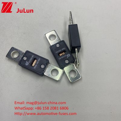Otomobil Blade Fuses EV320-3X-150A 70VDC Bolt M8 Otomobil Otomobil için Kurulum Modu