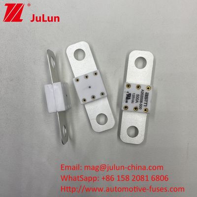 Profesyonel A202008 300A 125VDC Ağır Güçlü Otomobil Pil Şarj cihazı Sigorta 100A 150A 200A 250A 300A 350A 400A 500A 20KA Kırma Kapasitesi