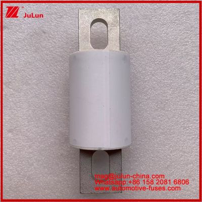 RS309-MD 400A 500VAC 200KA 500VDC 50KA AR Tubular Keramik Otomobil Sigortaları Bolt Kurulum Yarım iletken Koruma