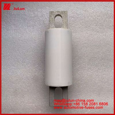 Yol Aracı Tubular Keramik Sigorta RS309-MF 200A 750VDC UL Yüksek kırma kapasitesi
