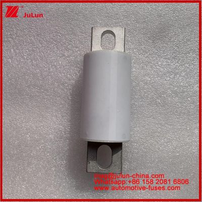 500A 400A RS309-MF EVE 750VDC ((UL) Yolu Aracı Tubular Keramik Enerji Depolama Güç Sistemleri Şarj Aygıtları Otomotiv Aygıtları Ve Ekipmanları 20KA