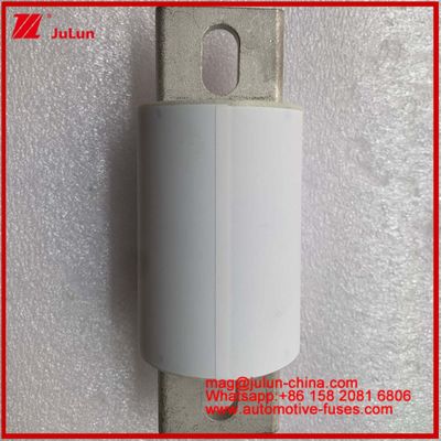 RS309-MF S 600A 750VDC Yol Tubular Keramik Otomobil Aygıtları ve Ekipmanları 50KA Enerji Depolama ve Güç Sistemleri Frekans Dönüşüm Kontrolörleri FUSE Şarj cihazları Elektrikli Araç