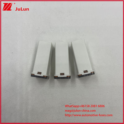 Araç 32VDC devre kesiciler Mini araba sigortaları 25A 32V Terminalleri Kadın kare fişe bağlama sigorta bağlantısı Araç aracı için 0495025.ZXA