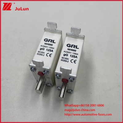 225A 160A 125A NT000/NH000 125A Sigorta Bağı/Tutucu Bıçak Sigorta Seramik Porselen Sigorta Tabanı