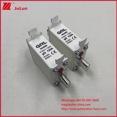 225A 160A 125A NT000/NH000 125A Sigorta Bağı/Tutucu Bıçak Sigorta Seramik Porselen Sigorta Tabanı