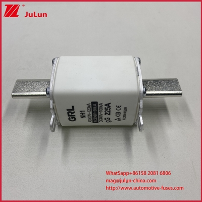 NH000 NT000 300A 225A 500V 120kA Yüksek Kesme Kapasiteli Sigorta Bıçağı GG-gL Bıçağı ile