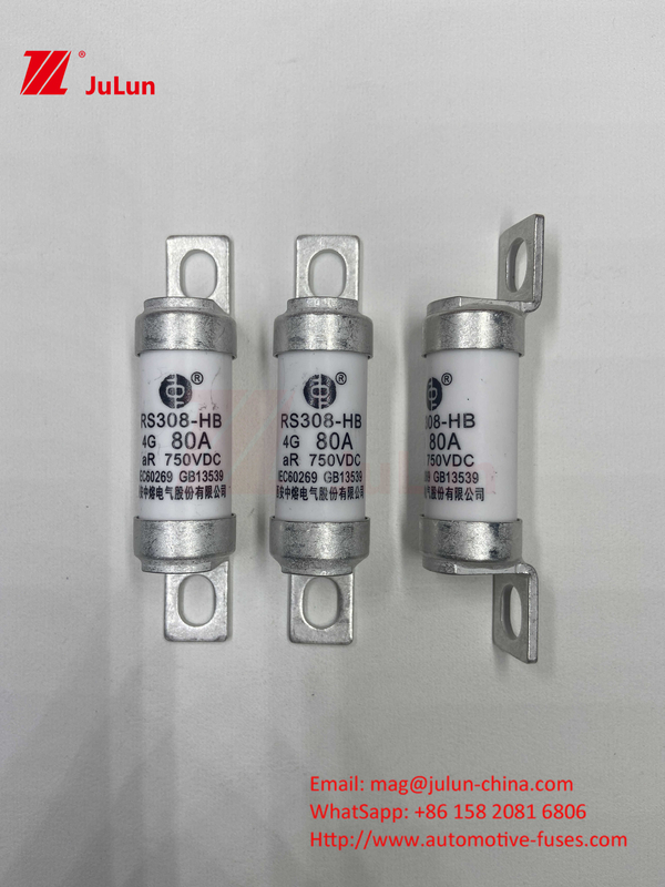 EV Elektrikli Araç Füzesi DC750V Füzesi DC750V 10A 15A 20A 25A 30A Otomobil Uygulamaları için RS308