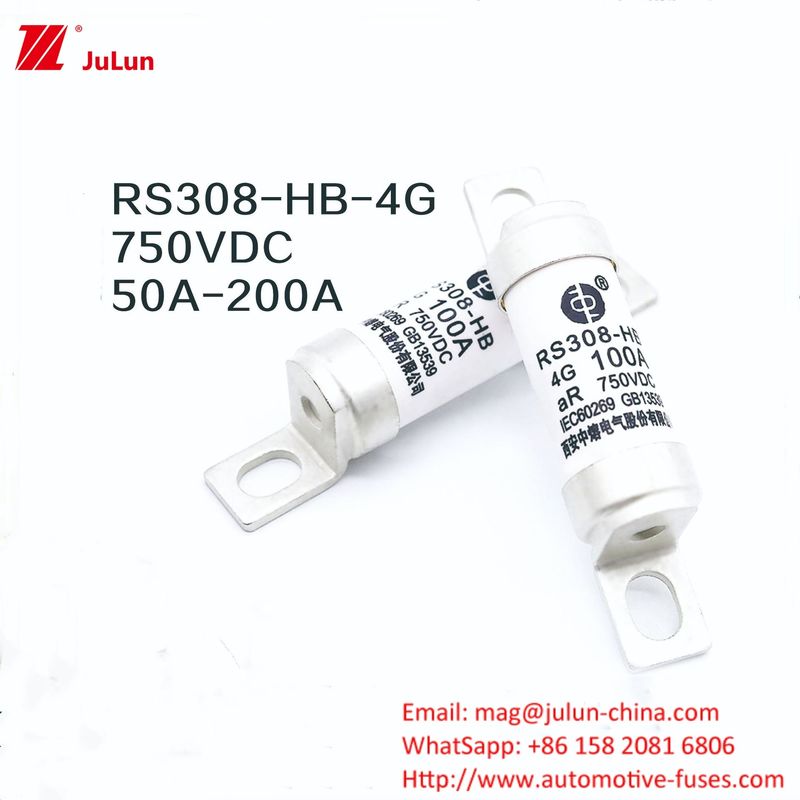Ev Şarj Adaptörü RS308-HB4G Serisi 32A 63A 100A Araç için Mini Sigortalar